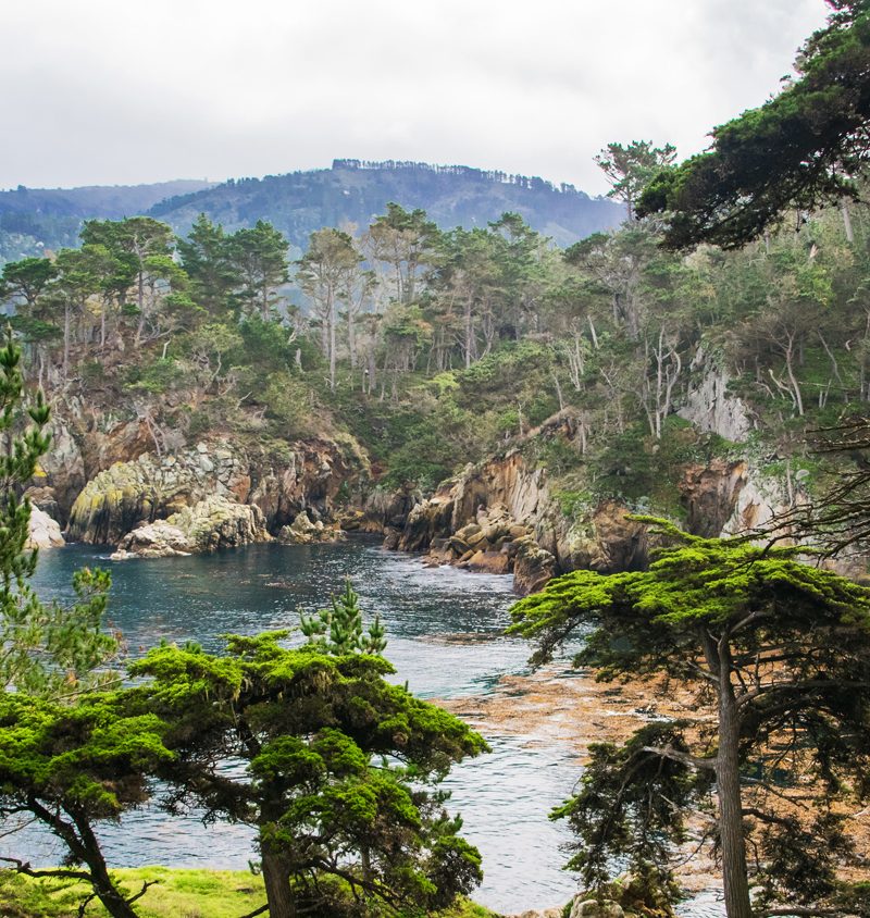 Carmel-California-photo-by-Matt-Payne