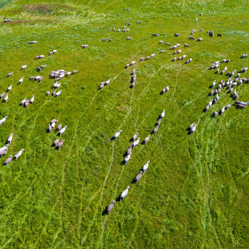 drone photography chase guttman 11