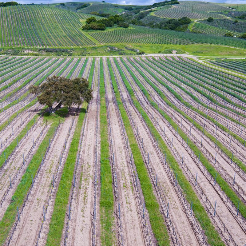 drone photography chase guttman 8