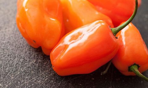 Hot sauce peppers