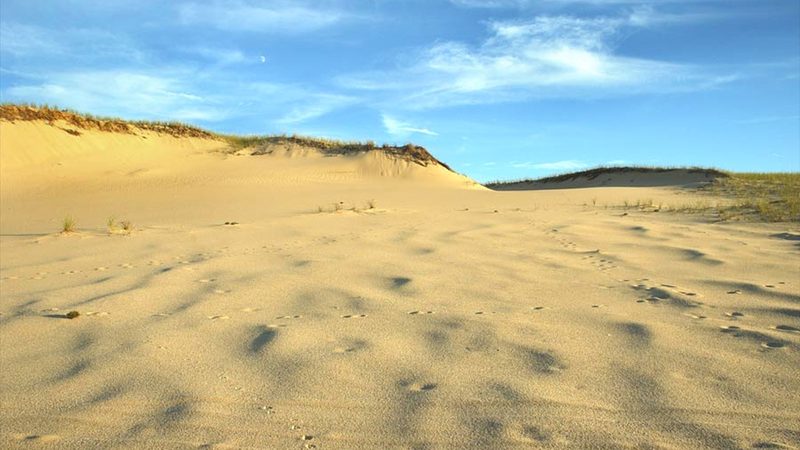 Arts Sand-Dunes-Tour-Provincetown