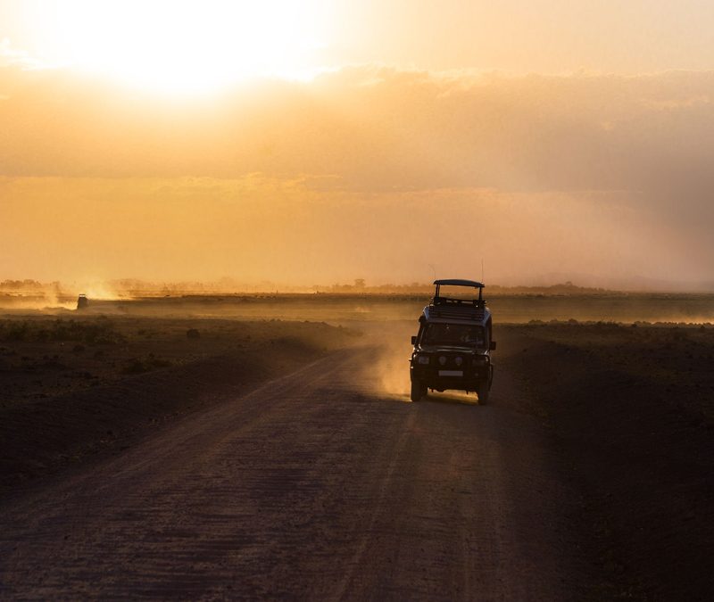 Stock-African-Safari-Sunset