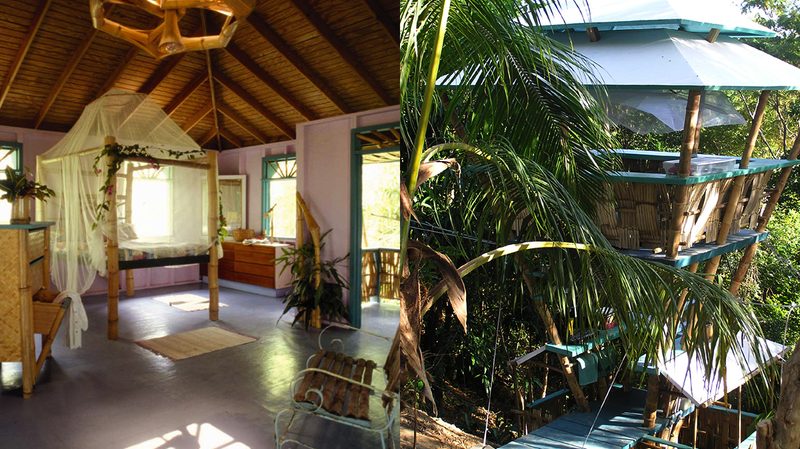 Tropical-Treehouse