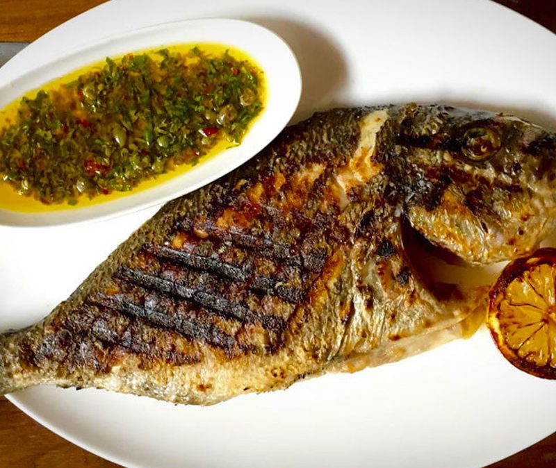 allonda-fish