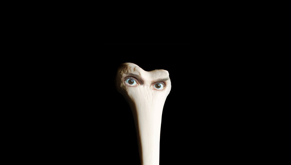 juana-molina-cover