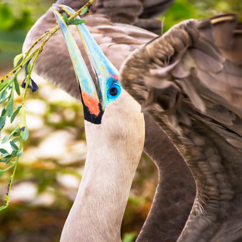 comprehensive guide galapagos islands dsc 3450