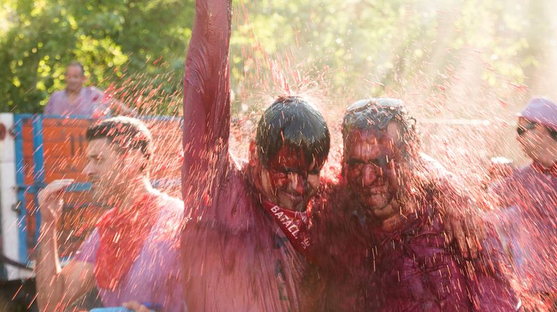 La Batalla del Vino Festival