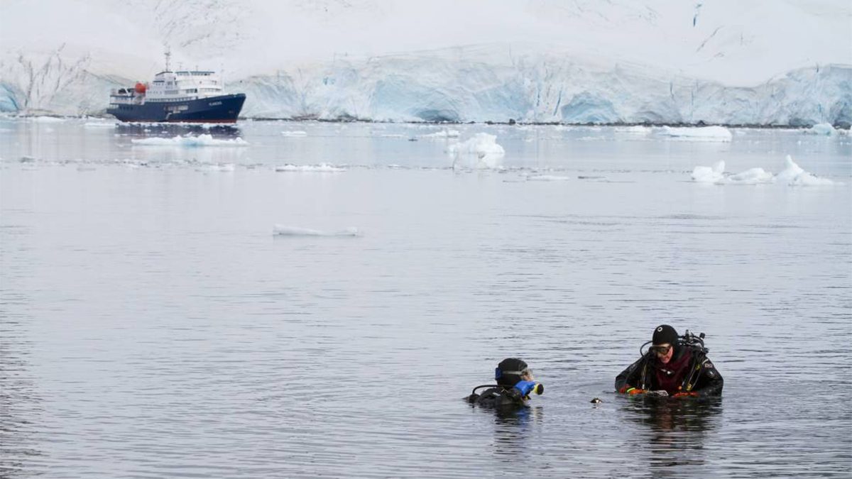 polar Scuba Diving