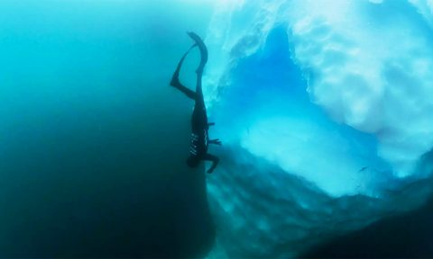 polar scuba diving