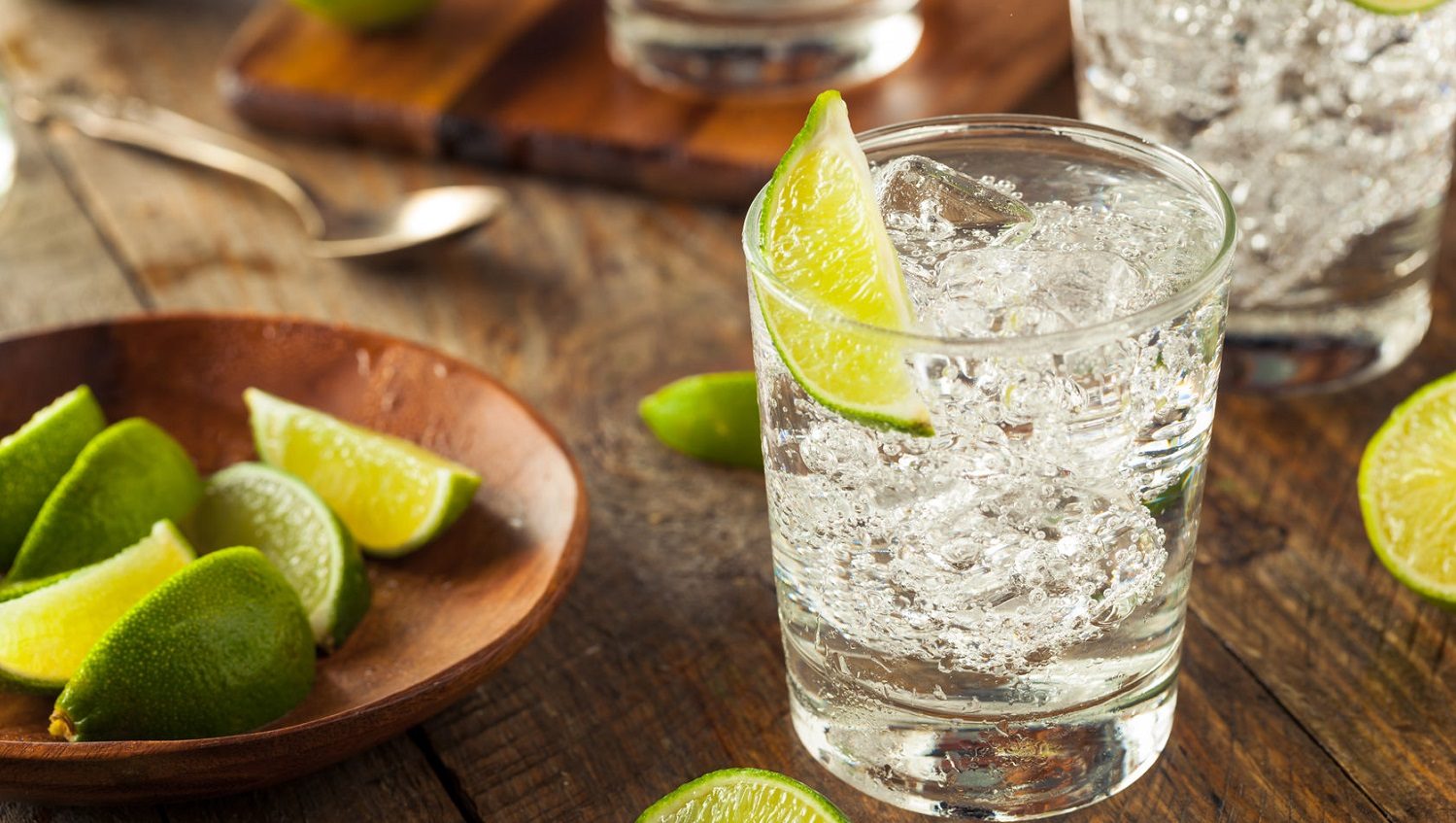 gin and tonic drink with a slice of lime