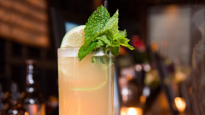 canadian mule