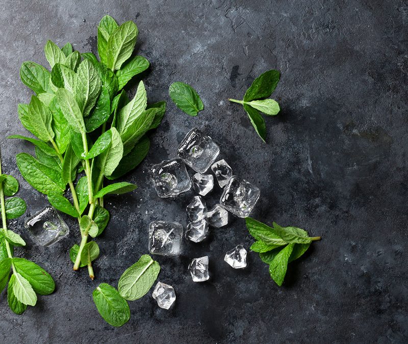 Mint and ice on stone table