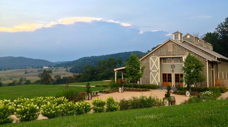 Pippin Hill Vineyard