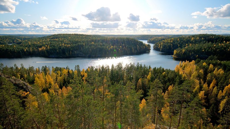 Repovesi national park in Finland