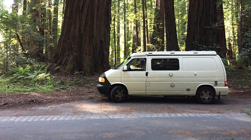gocamp camper van forest