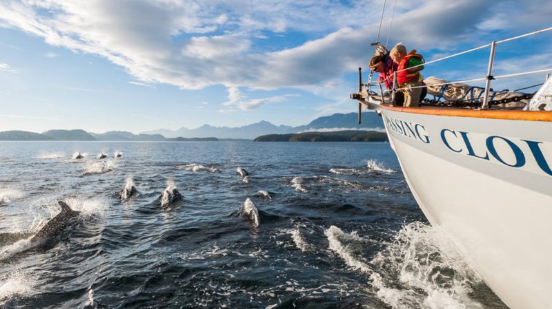 outer shores tours