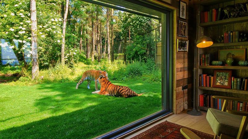 Tiger Lodge Living Area