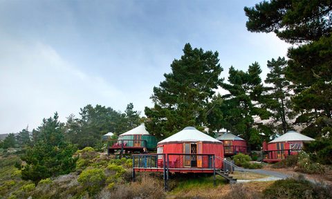 tree bones resort luxury yurt