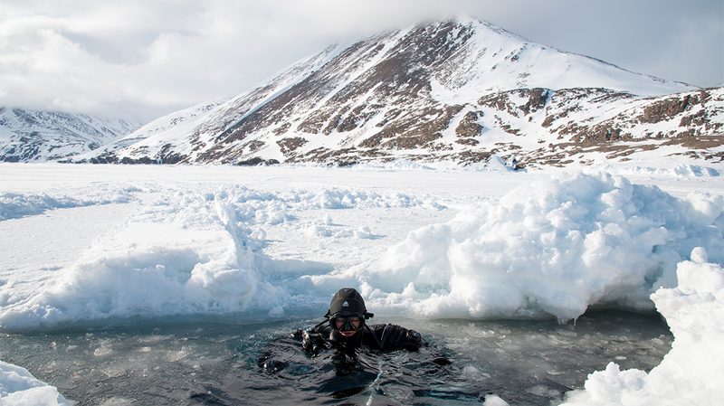 Baffin Island Dive Safari