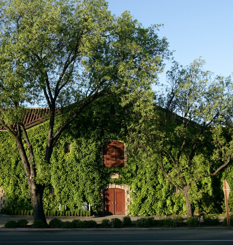 Napa Valley Vineyard