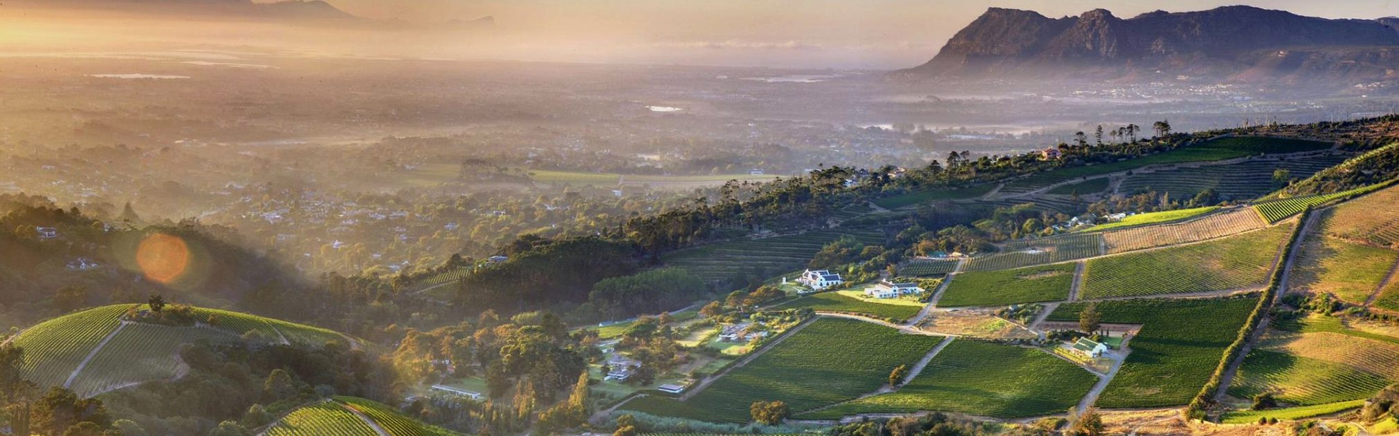 Constantia Wine Route