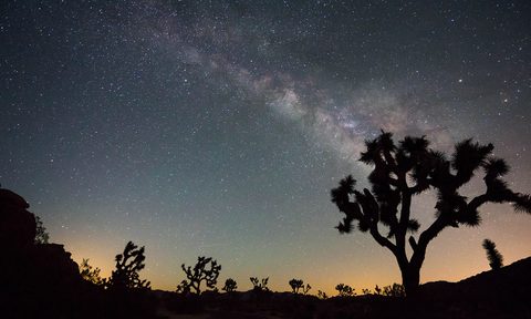 Joshua Tree National Park