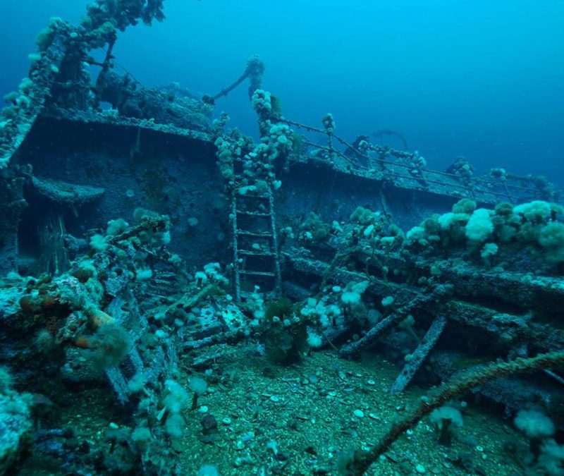 Newfoundland Source Ocean Quest Adventures