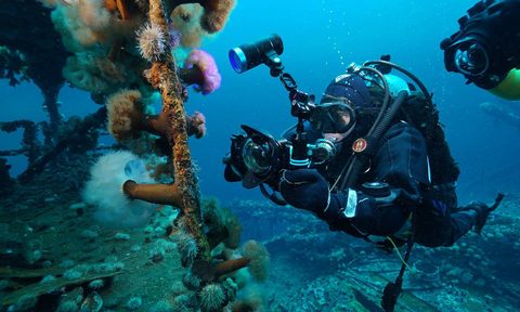 Newfoundland Source Ocean Quest Adventures