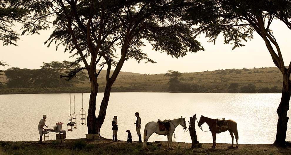 Sandibe Okavango Safari Lodge