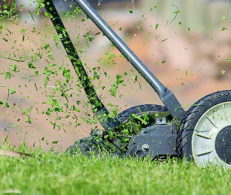 lawn mower