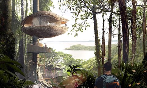 Baca Architects treehouse