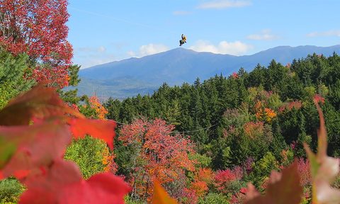 fall foliage tours Canopy Tour at Bretton Woods