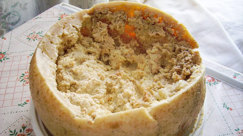 Casu Marzu cheese