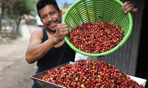 Fair Trade Paul + Williams