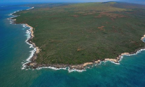 molokai island hawaii