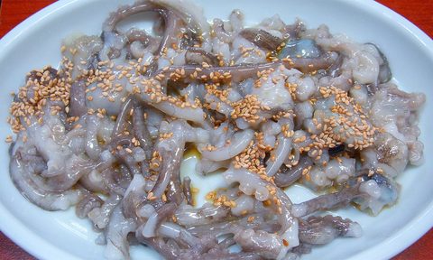 San Nakji, world's most dangerous foods