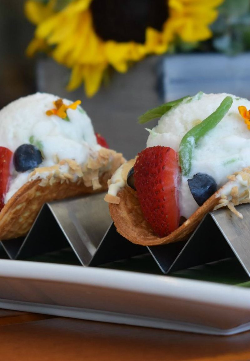 dog friendly restaurants in los angeles ayara thai cuisine