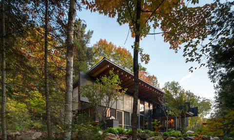 bear stand vacation house rental
