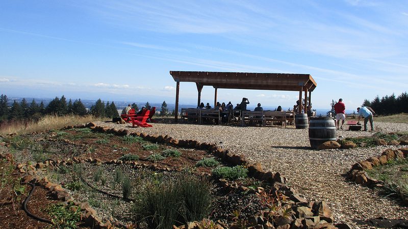 brookes vineyard