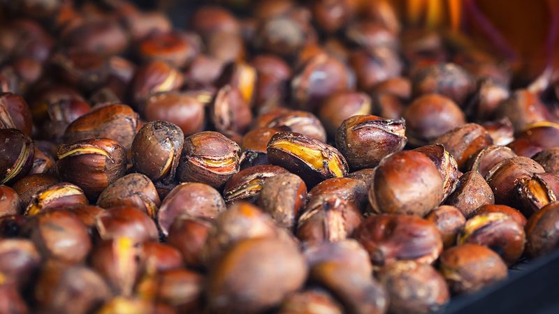 A pile of chestnuts in autumn.