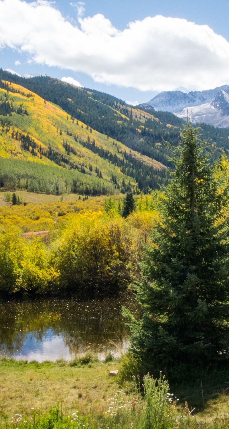 pine creek cookhouse aspen restaurants colorado