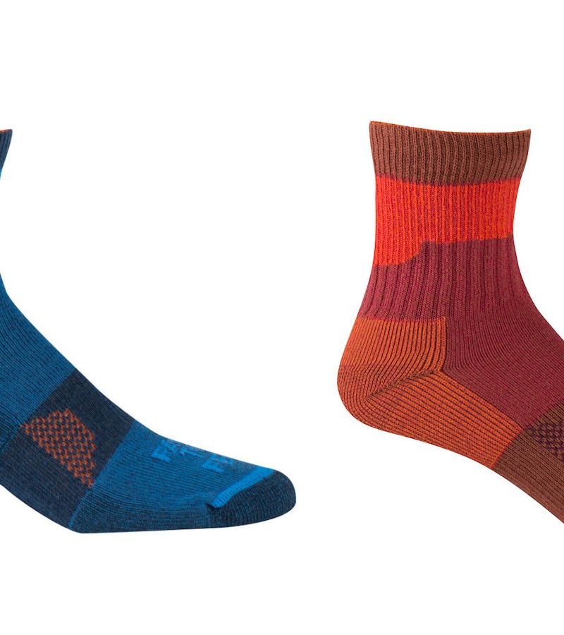 farm to feat bears ears socks