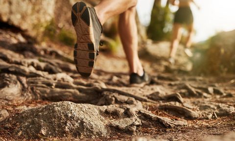Appalachian Trail record