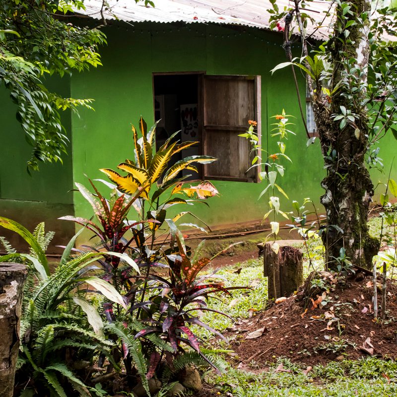 broran costa rica