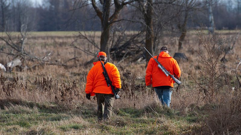 Deer hunting guide