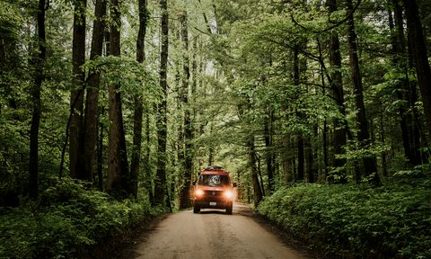Evolve Protein Van Great Smoky Mountains