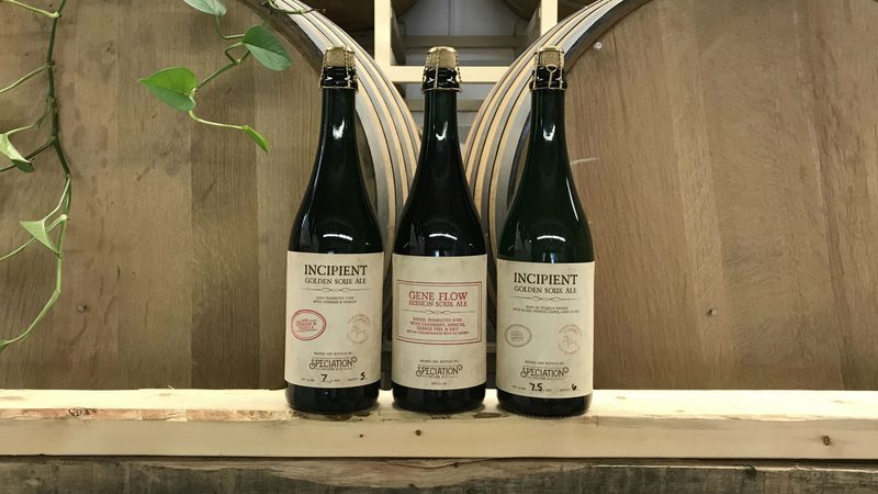 Speciation Artisan Ales
