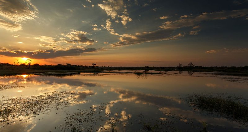Okavango Delta
