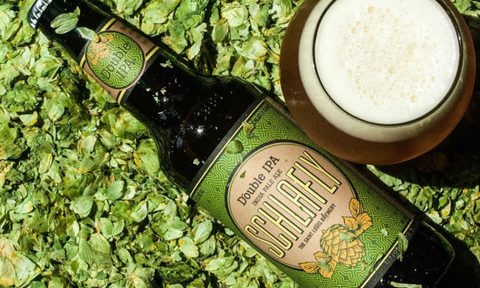 schlafly double ipa