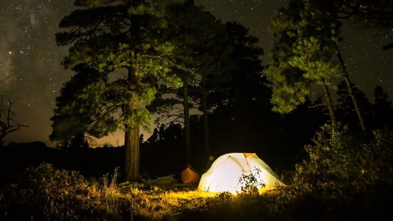 Butiq Escapes Sasquatch Challenge